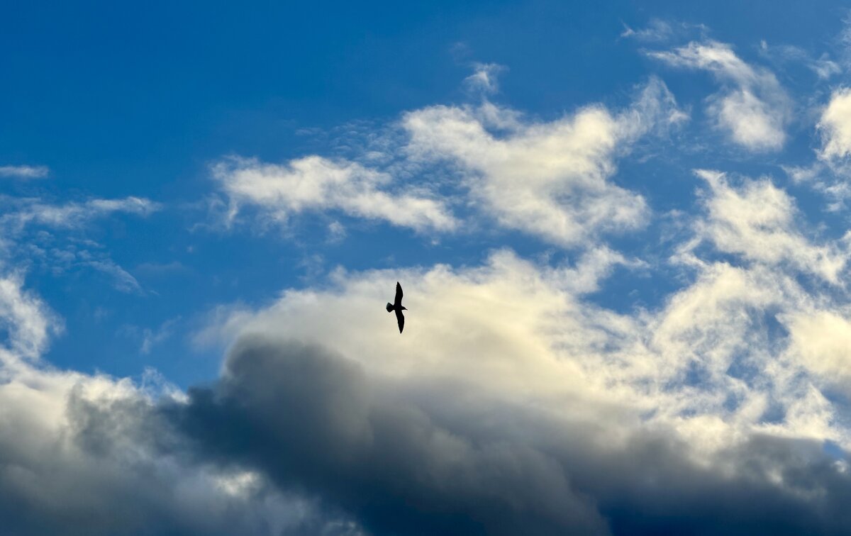 Полеты без границ ! - Анна Камс Полеты без границ ! - Анна Камс