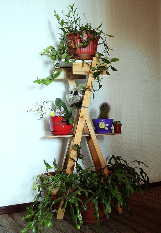 87 - Василий Палий 87 - Василий Палий