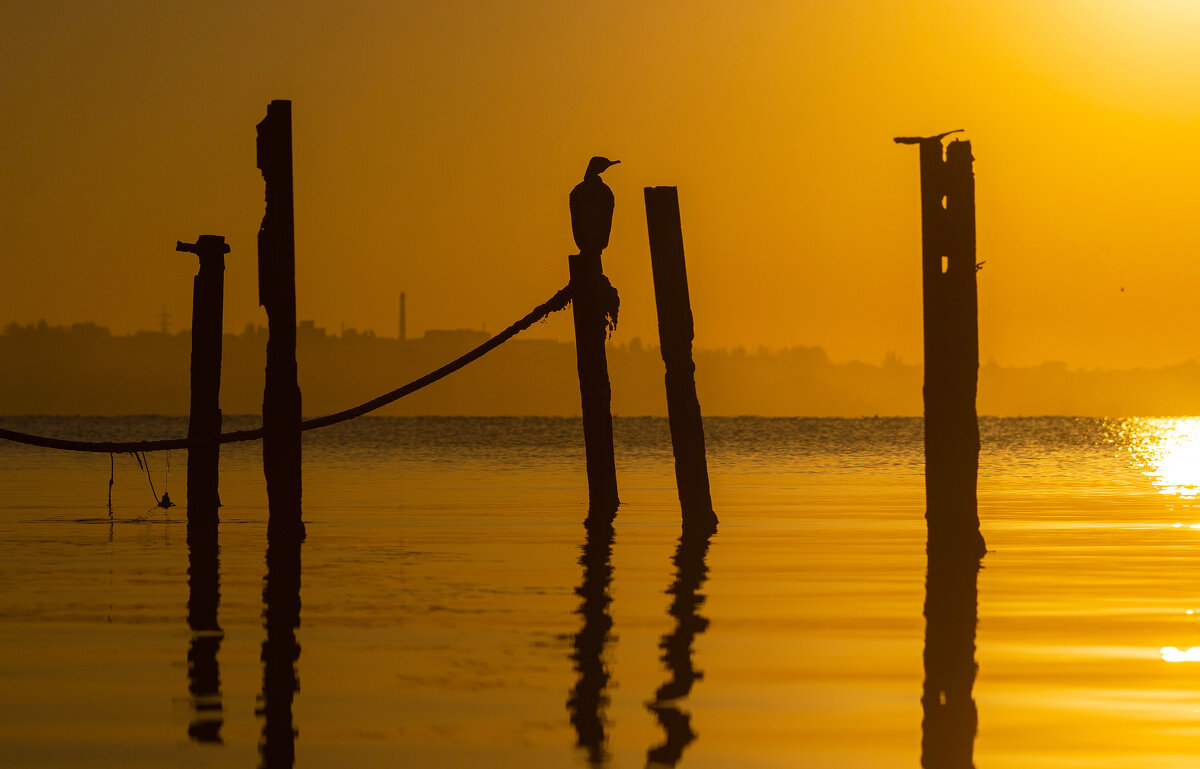 Рассвет, что осеннего цвета. - Анатолий Щербак Рассвет, что осеннего цвета. - Анатолий Щербак