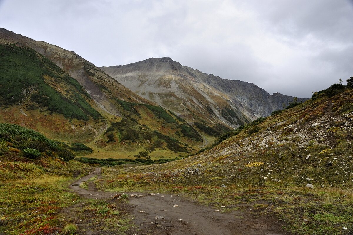 Тропинка в красоту - Марина Виноградова Тропинка в красоту - Марина Виноградова