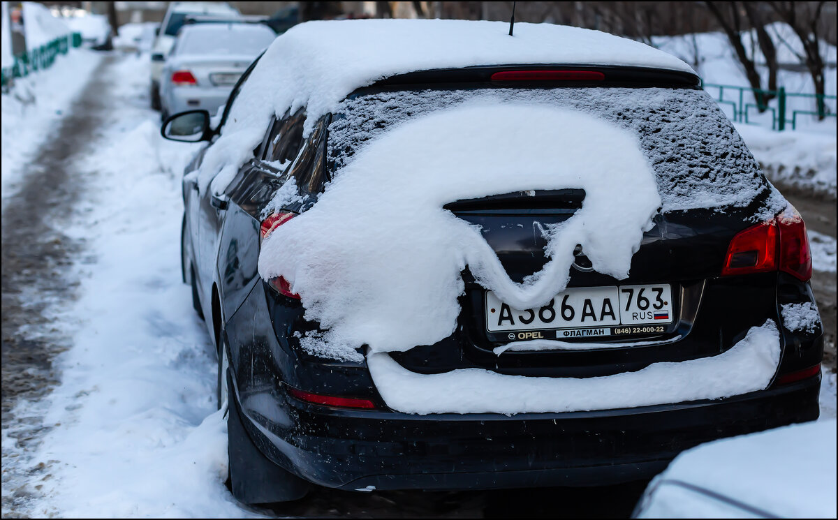Последняя "улыбка" зимы - Александр Тарноградский