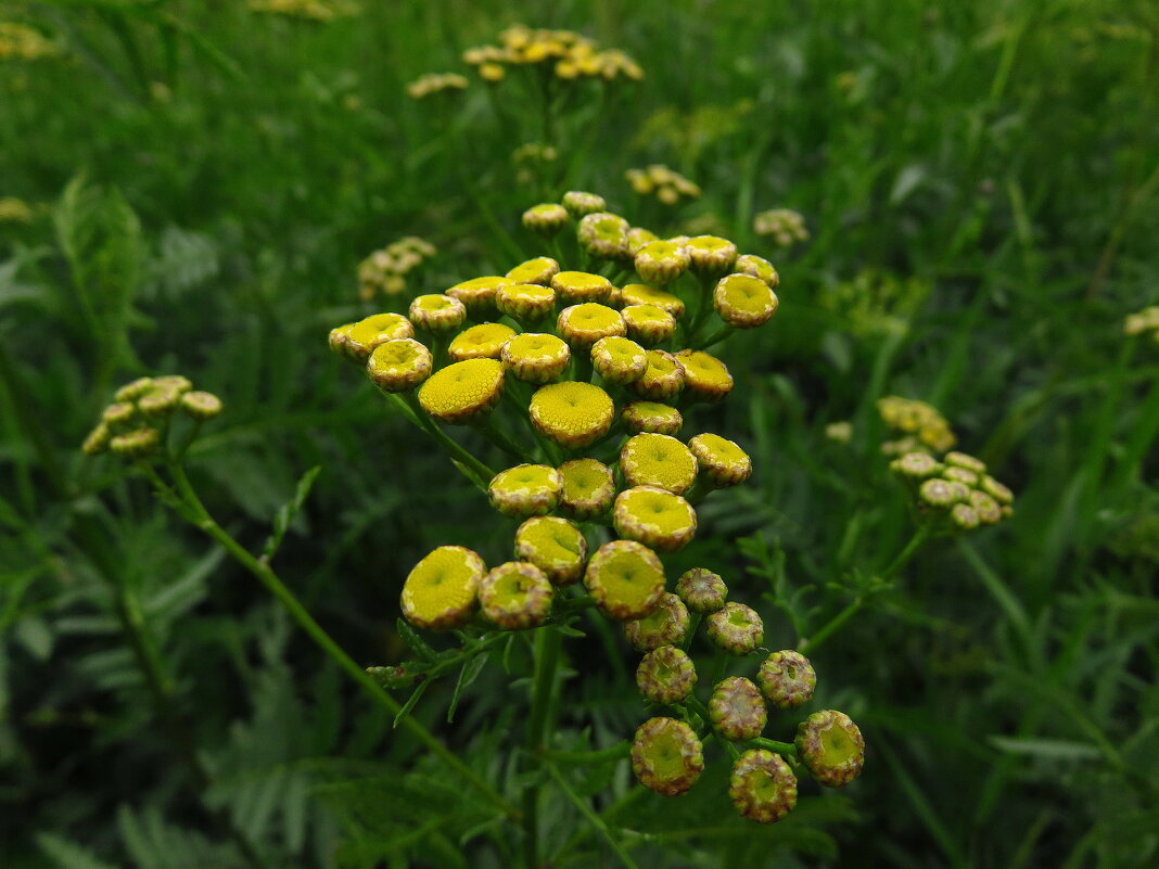 С праздником вас, дорогие и любимые! - Андрей Лукьянов С праздником вас, дорогие и любимые! - Андрей Лукьянов