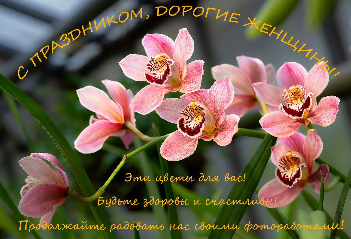 С Праздником! - Борис Гольдберг