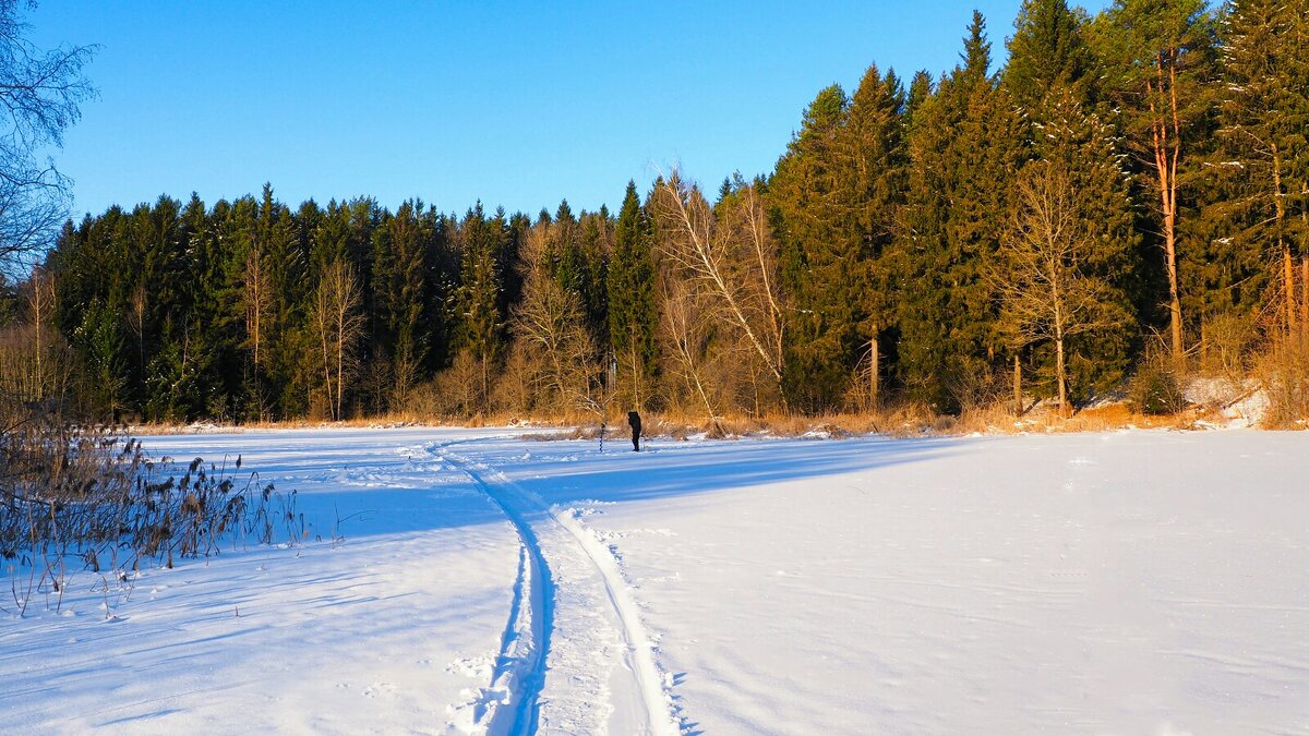 Наследили рыбаки. - Милешкин Владимир Алексеевич Наследили рыбаки. - Милешкин Владимир Алексеевич