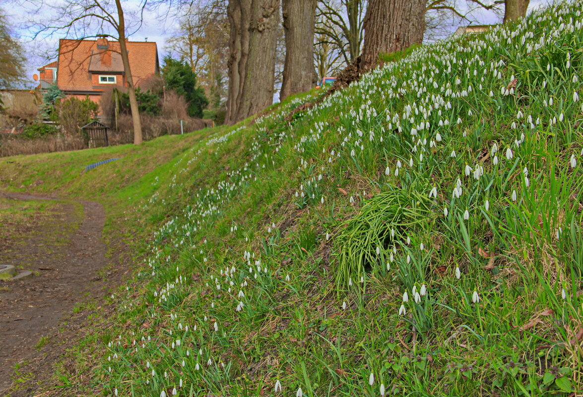 Весенняя полянка - Андрей K. Весенняя полянка - Андрей K.