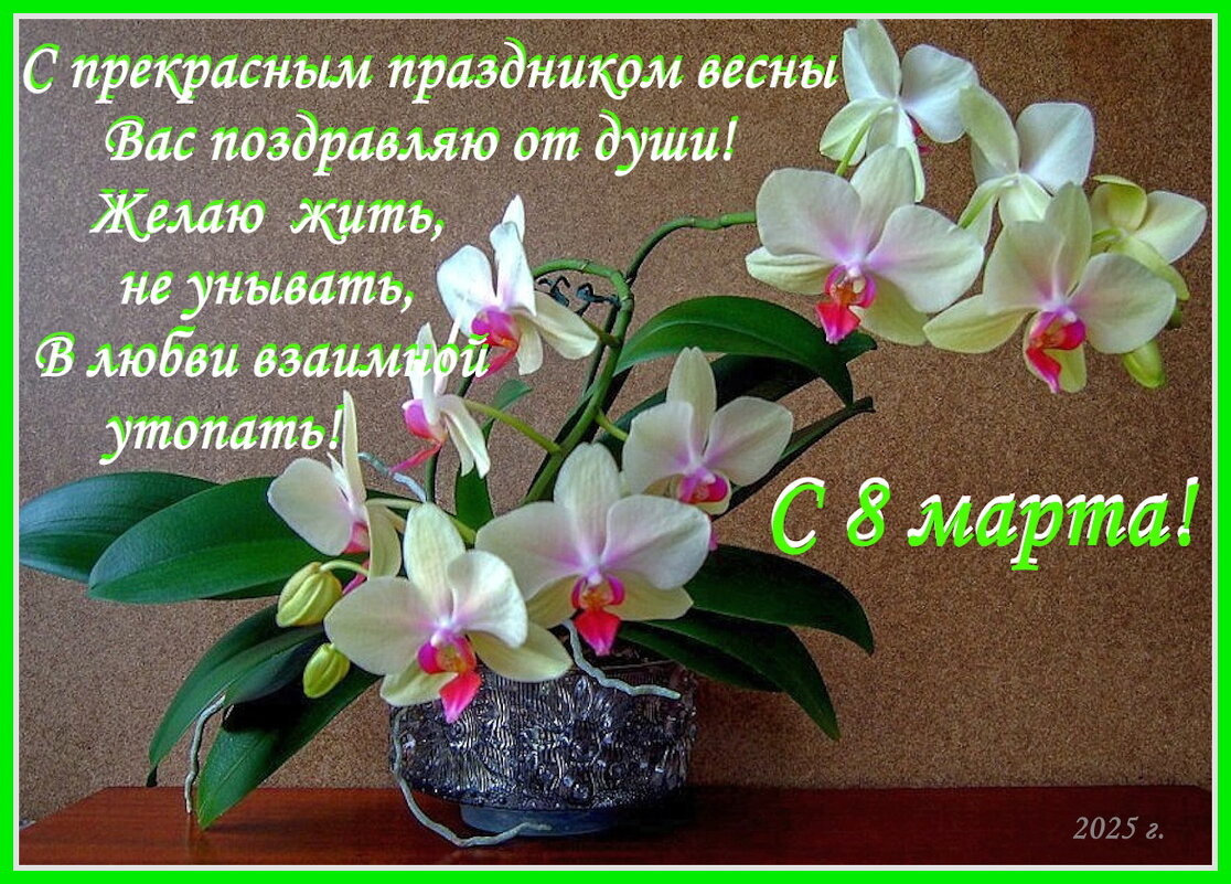 С праздником! - Ольга Довженко