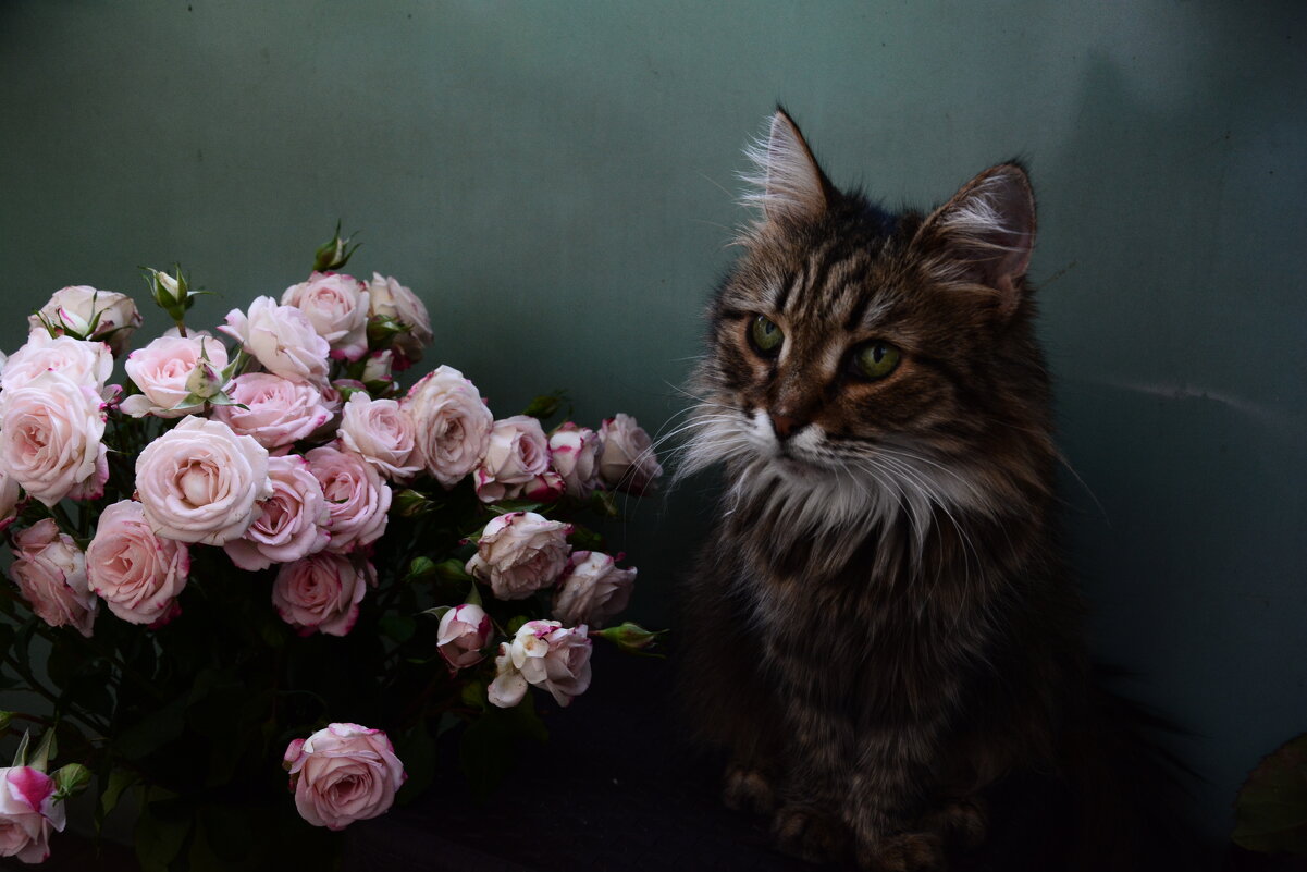 с праздником! - Галина R...