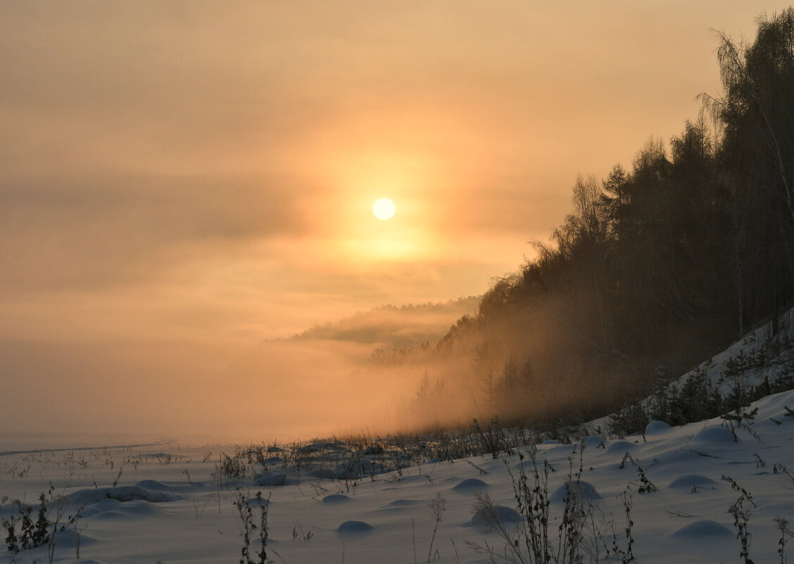 Туманное солнце - Сергей Шаврин Туманное солнце - Сергей Шаврин