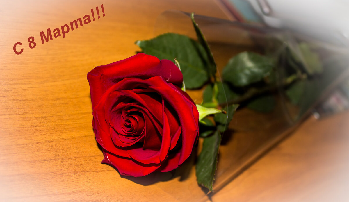 С праздником! - Светлана SvetNika17 С праздником! - Светлана SvetNika17