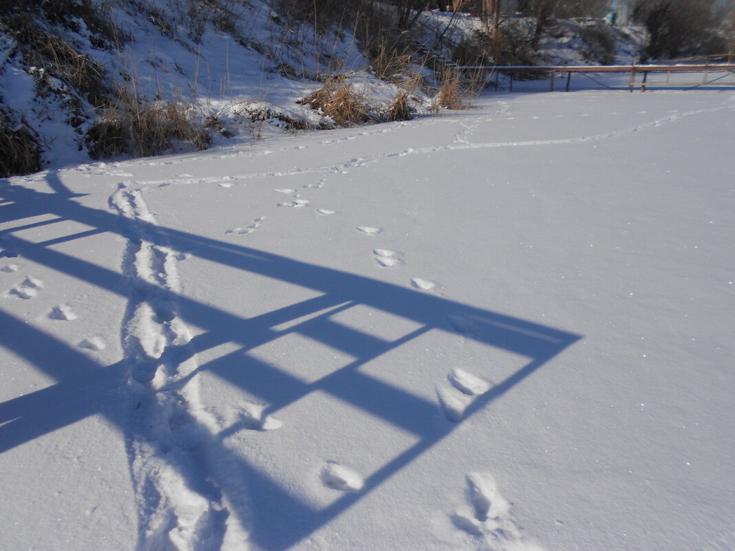 февраль - Елена Шаламова