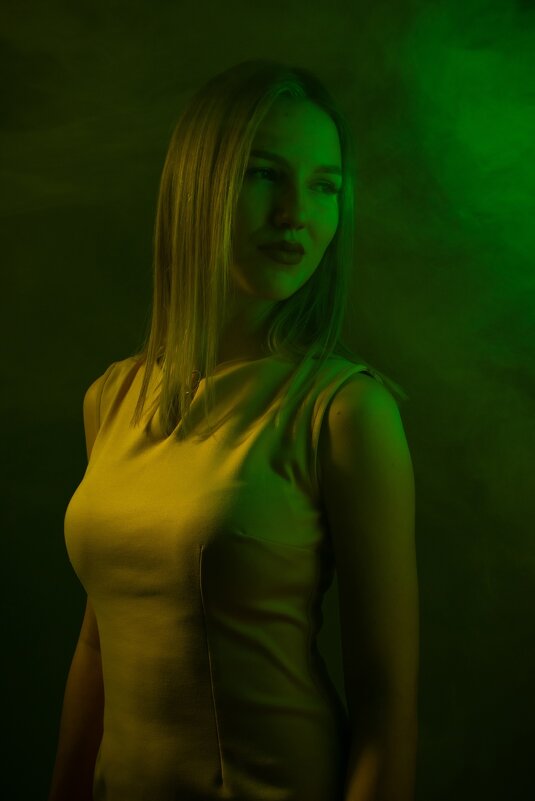 *** - Николай Чекалин