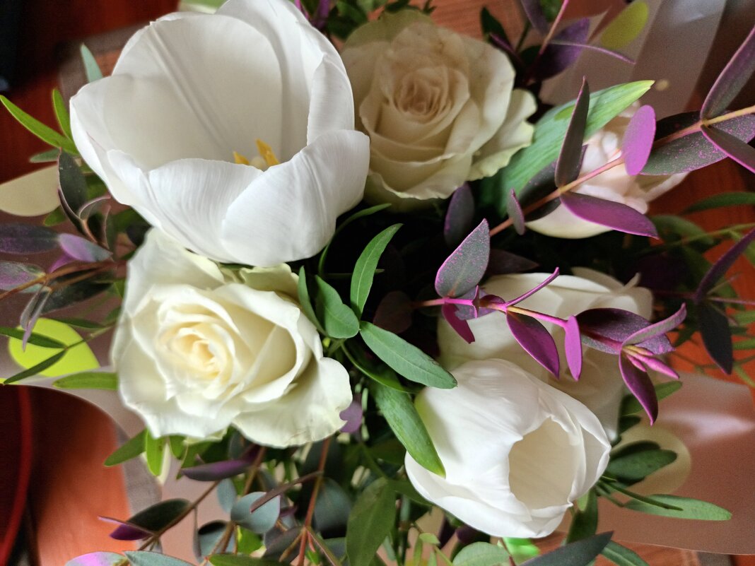 !!! - Виктор Никитенко !!! - Виктор Никитенко