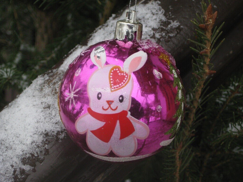 Шарик с зайчиком - Дмитрий Никитин