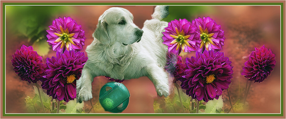 С праздником 8 Марта! - Владимир Кроливец С праздником 8 Марта! - Владимир Кроливец