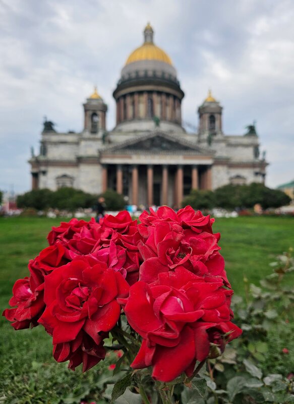 Санкт-Петербург - Юлия Голикова