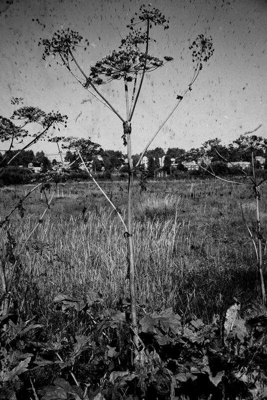 Название отсутствует - Денис Безногов Название отсутствует - Денис Безногов