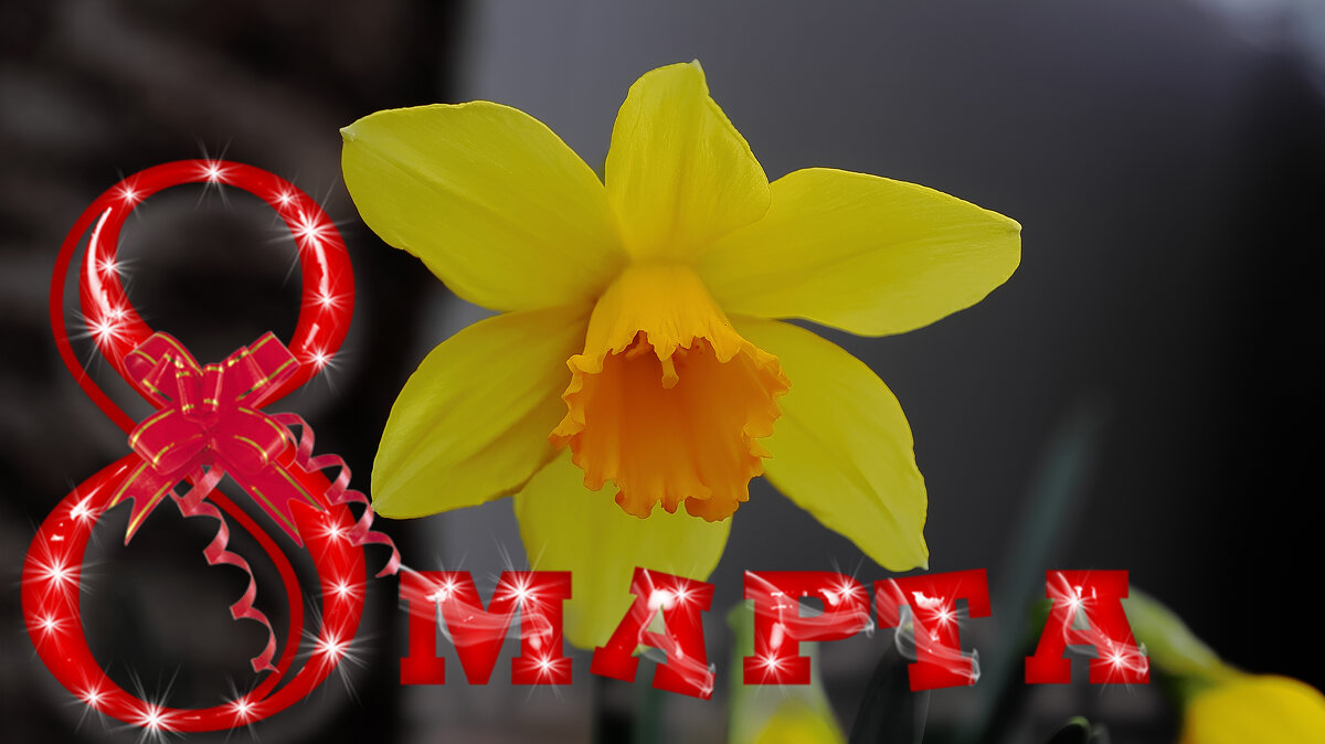 С праздником! - Александр Посошенко