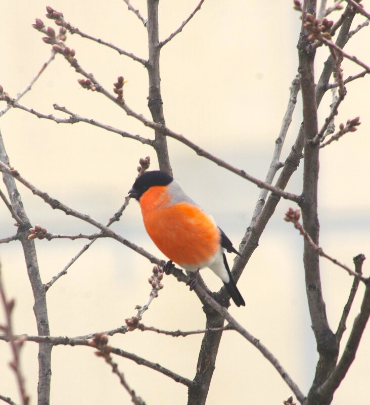 ... - Юрий Куликов