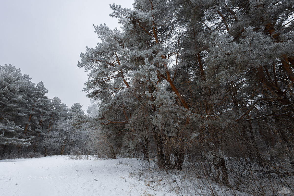 Февраль - Александр Синдерёв