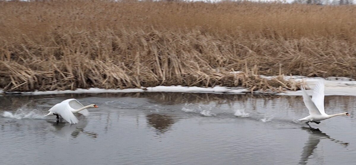 . - Сергей Асташонок
