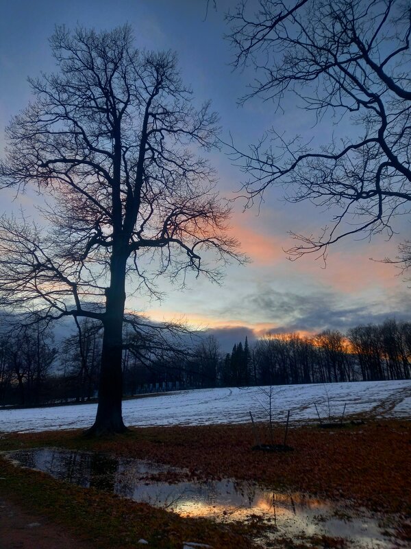 Закат - Сапсан 