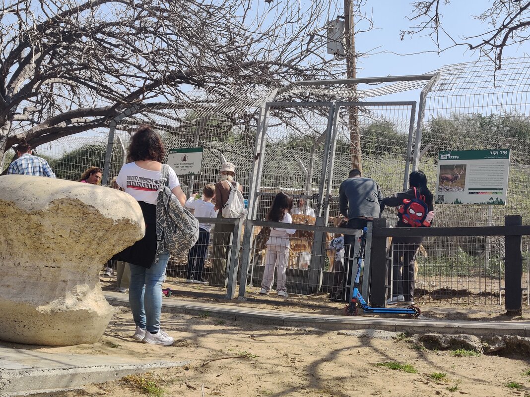 " - Светлана Хращевская " - Светлана Хращевская