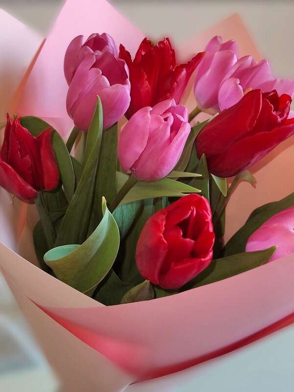 Весна ! Тюльпаны к празднику ! - tatyana Весна ! Тюльпаны к празднику ! - tatyana