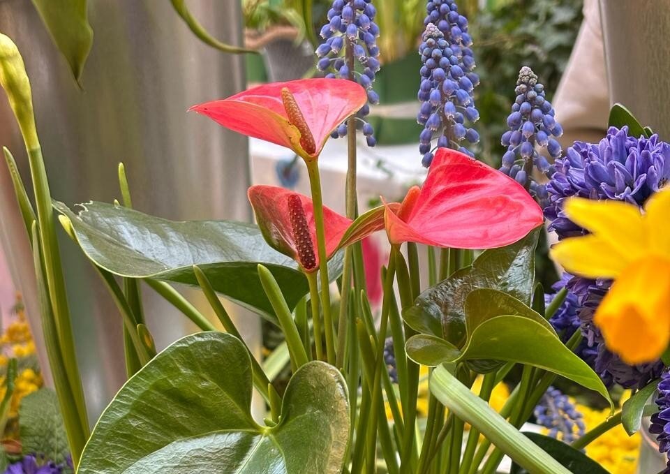 Весеннее настроение - Мария - Maria Весеннее настроение - Мария - Maria