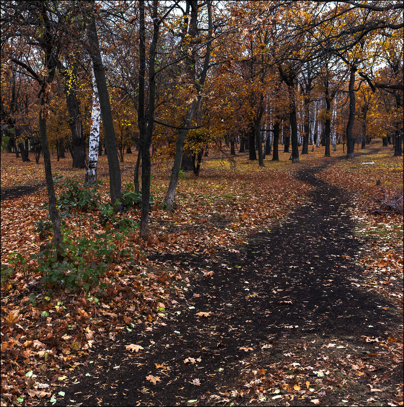 Протоптали дорожку - Александр Тарноградский Протоптали дорожку - Александр Тарноградский