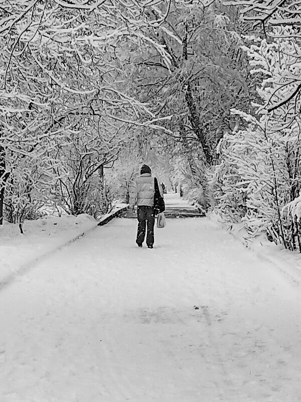 Зимняя дорожка (вспоминая зиму) - photo Bo Зимняя дорожка (вспоминая зиму) - photo Bo