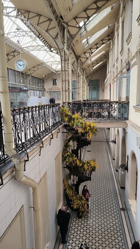 Праздничный Витебский вокзал. - Ольга Праздничный Витебский вокзал. - Ольга