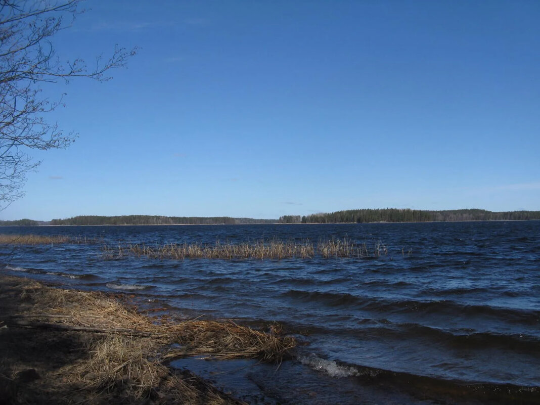 Сайма.Часть крупнейшего озера Финляндии. - Надежда 