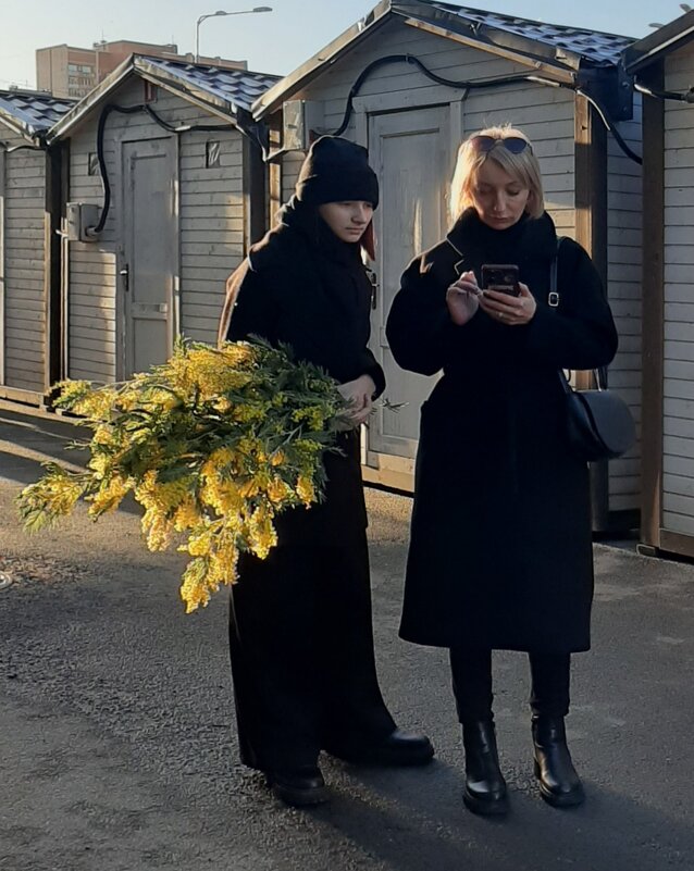 Мимоза - Наталья Герасимова Мимоза - Наталья Герасимова