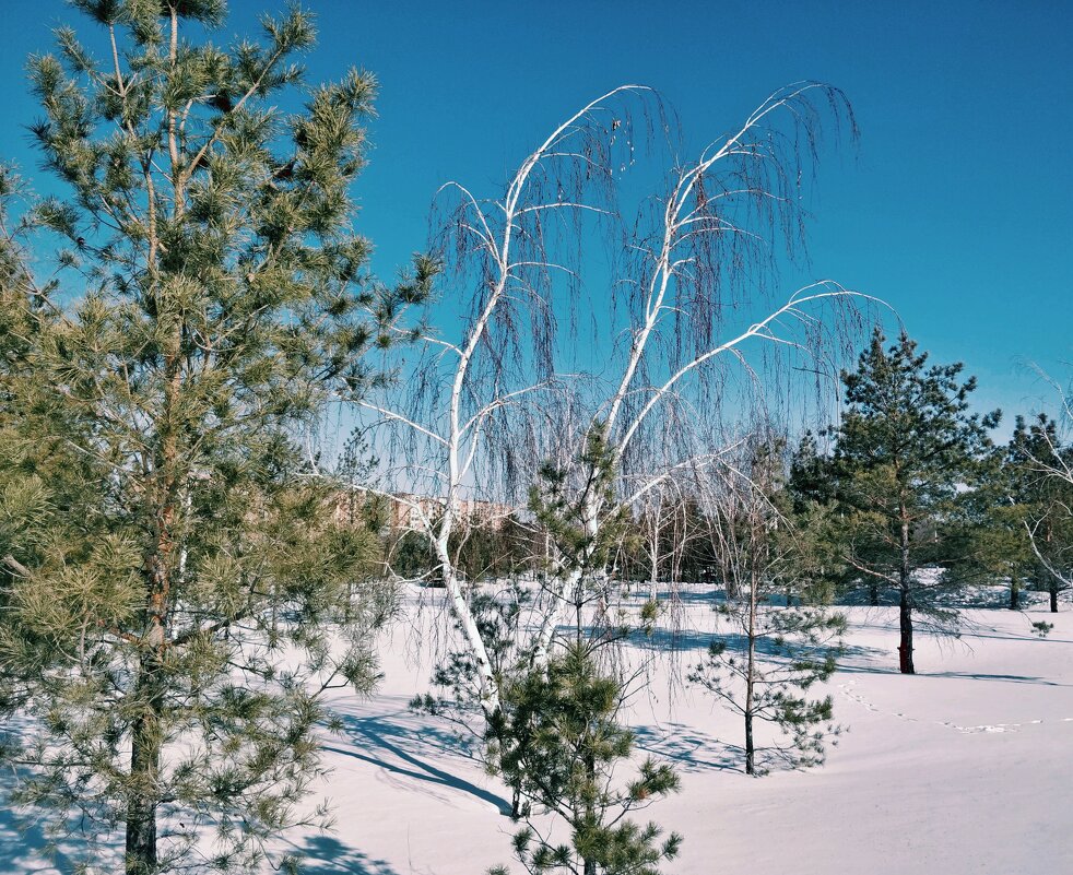 Март - Андрей Хлопонин Март - Андрей Хлопонин