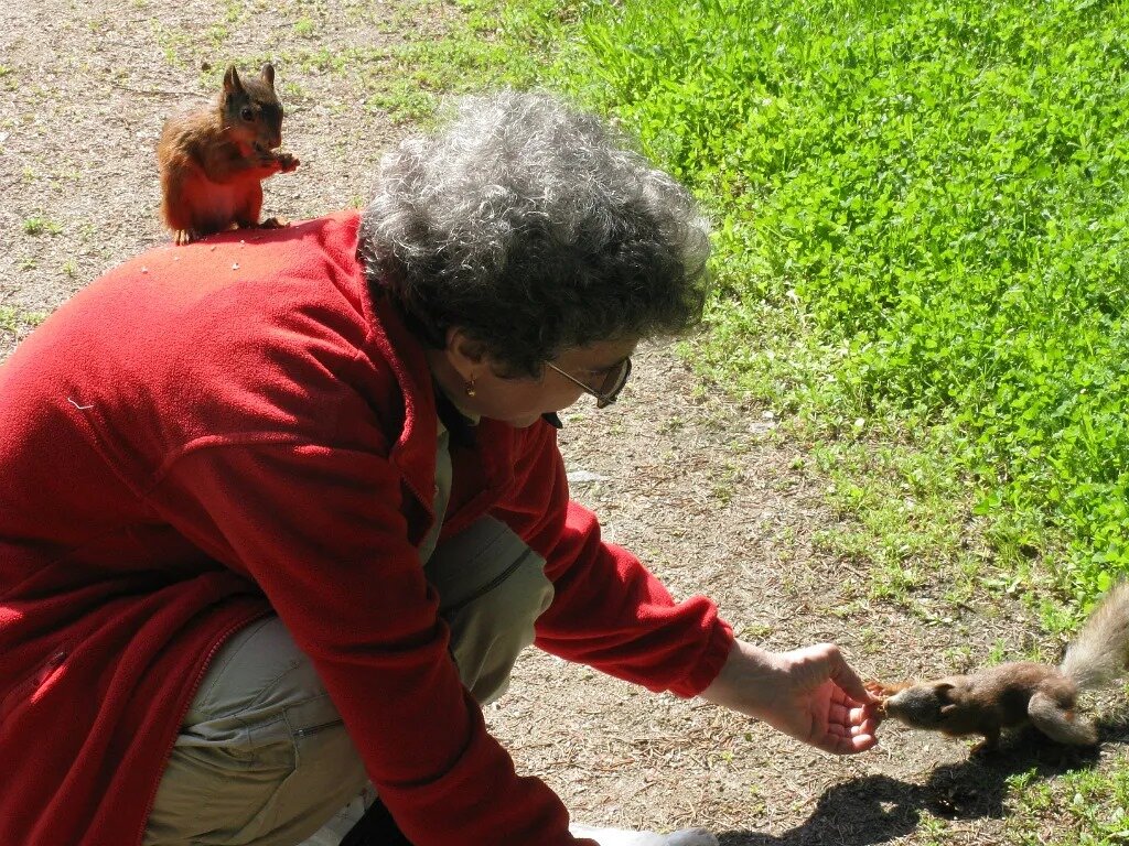 Не могу пройти мимо - Надежда 