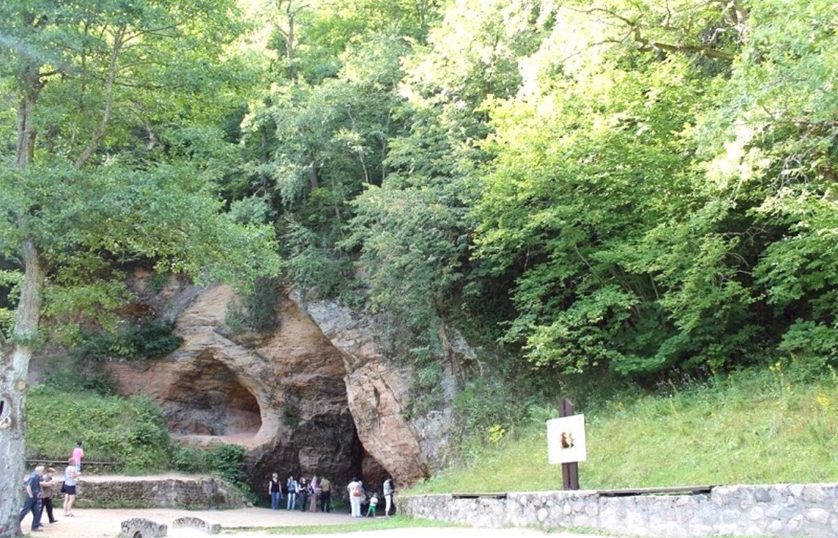 природа - марта Камушкина