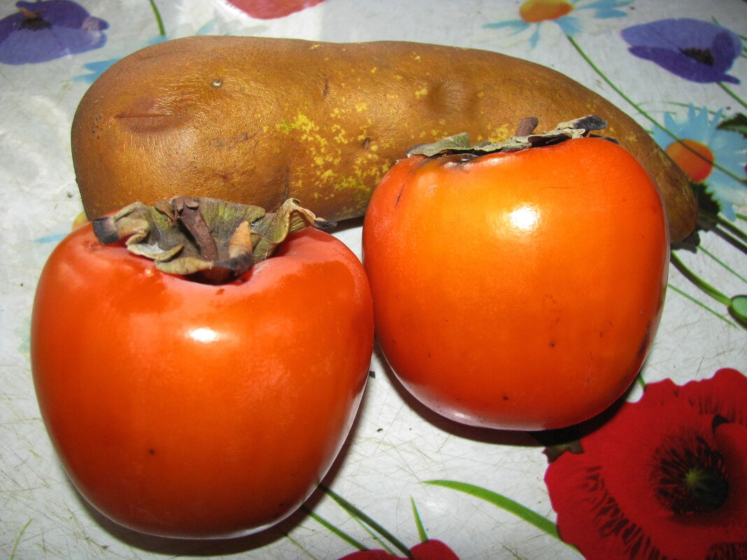 Витамины - Людмила Смородинская Витамины - Людмила Смородинская