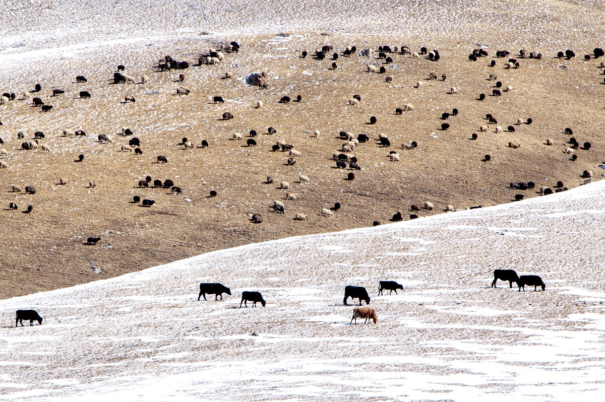 Горная Балкария. 2022 год. - Gen Горная Балкария. 2022 год. - Gen