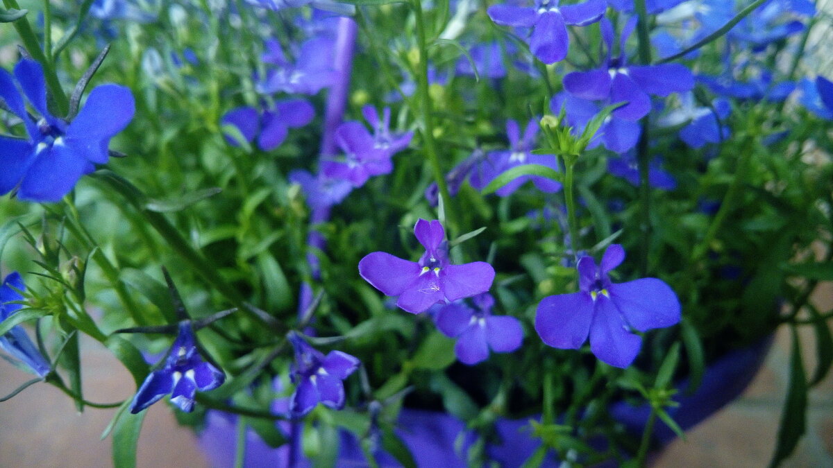 ,,, - Сергей Тимоновский