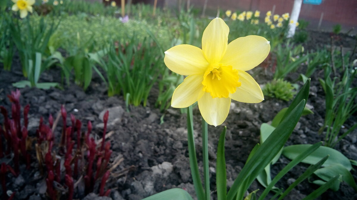 ,,, - Сергей Тимоновский