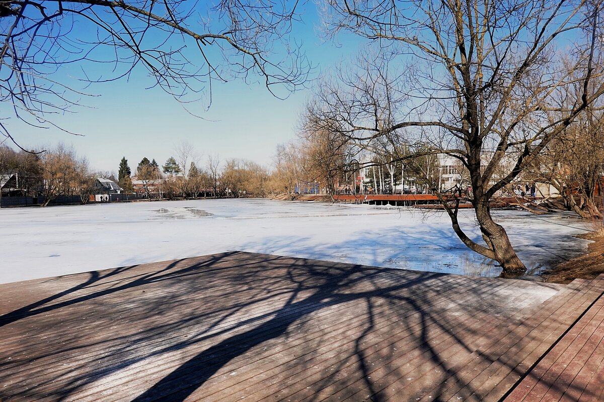 У пруда в Подмосковье. - Татьяна Помогалова