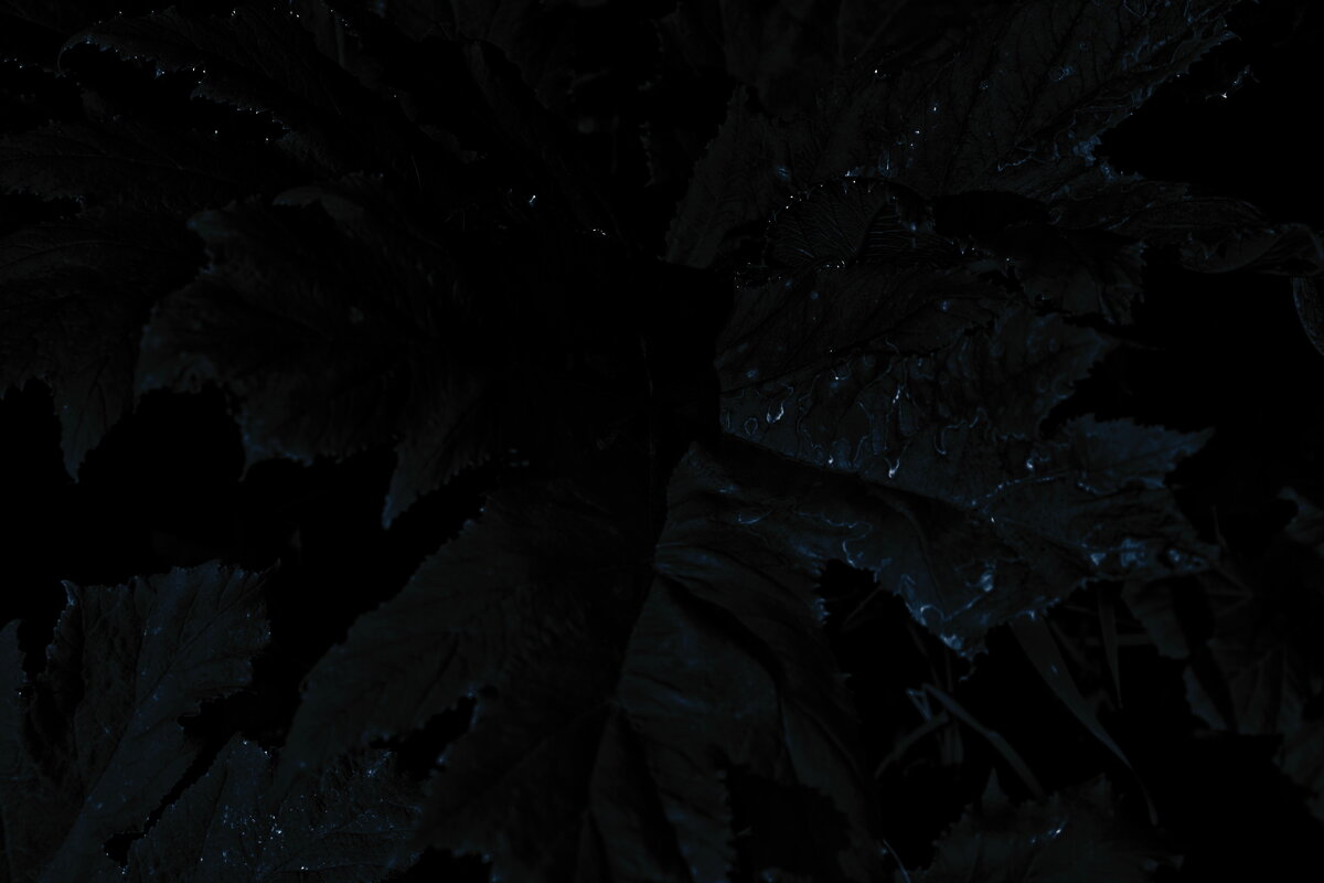 Название отсутствует - Денис Безногов Название отсутствует - Денис Безногов