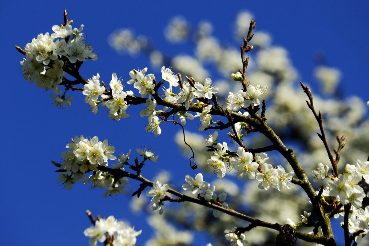 А за окном понимаешь, весна за окном... - Юрий. Шмаков А за окном понимаешь, весна за окном... - Юрий. Шмаков