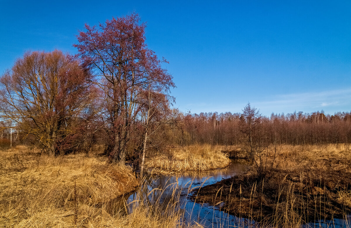 Начало Подмосковной весны - Андрей Дворников Начало Подмосковной весны - Андрей Дворников