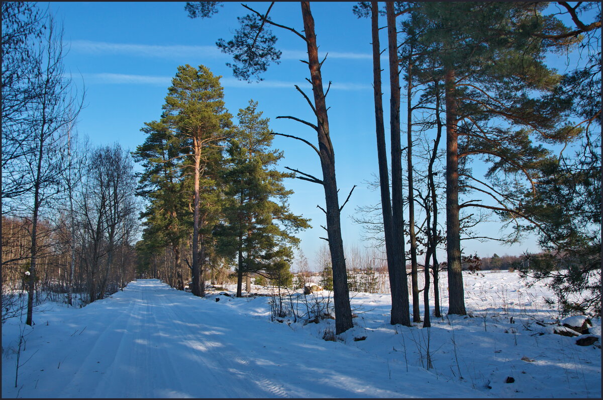 Прогулка на свежем воздухе - lady v.ekaterina Прогулка на свежем воздухе - lady v.ekaterina