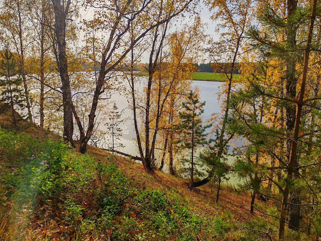 Осень - tamara kremleva Осень - tamara kremleva