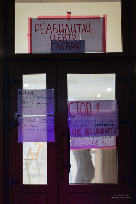 центр - Albina Lukyanchenko