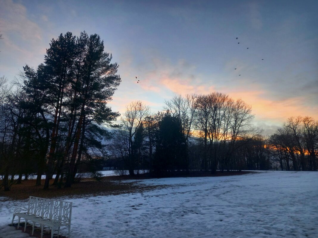 Закат - Сапсан 