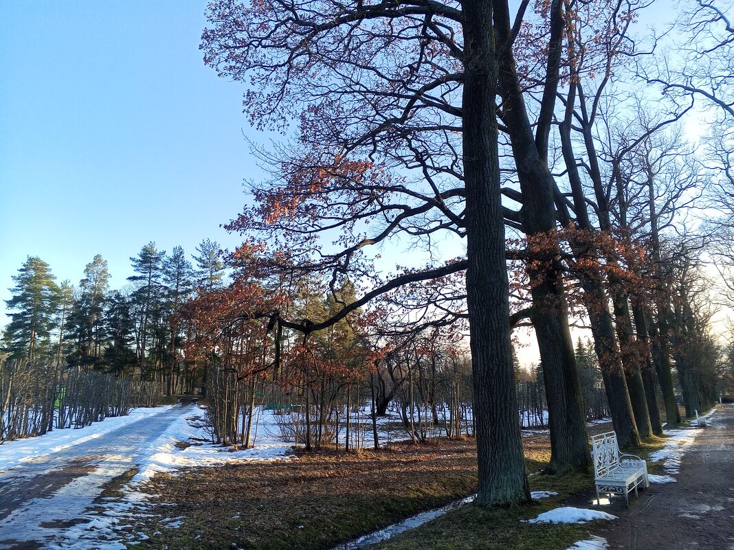 Весна - Сапсан Весна - Сапсан