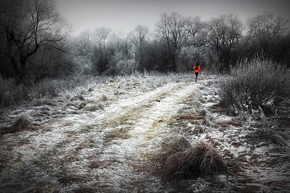 В пойме Клязьмы ... - Владимир Шошин В пойме Клязьмы ... - Владимир Шошин